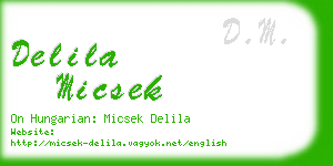 delila micsek business card